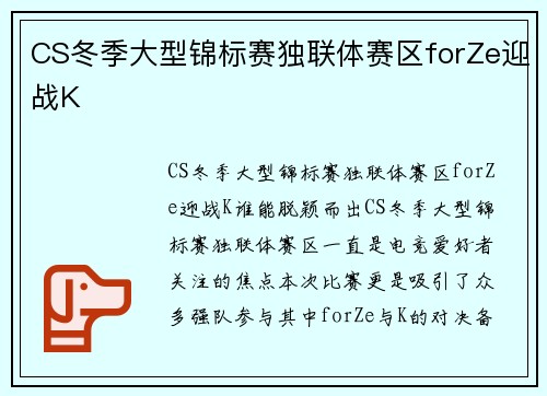 CS冬季大型锦标赛独联体赛区forZe迎战K