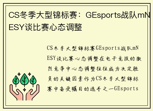 CS冬季大型锦标赛：GEsports战队mNESY谈比赛心态调整